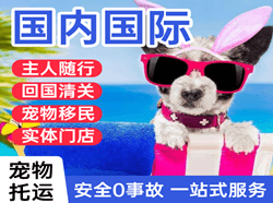 西双版纳嘎洒空运公司国际宠物托运 【国